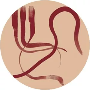 giulio aldinucci konstrukt - Musical band