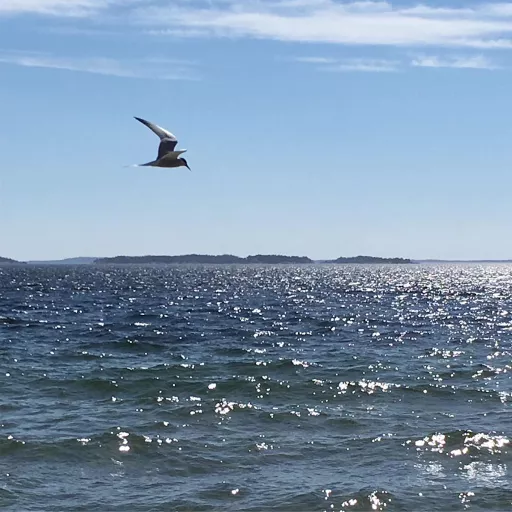 Kontrollplan Direkt - 