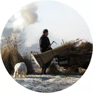 Kop van Overijssel - 