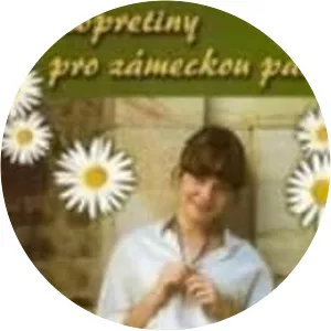 Kopretiny pro zámeckou paní