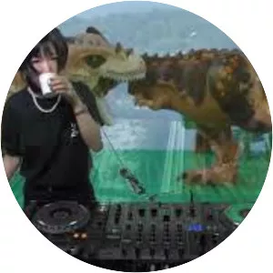 Korea Town Acid - Musical artist