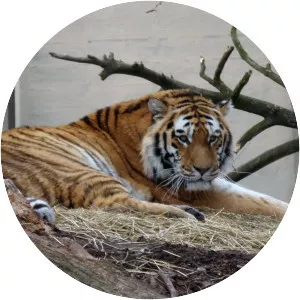 Korkeasaari - Island in Helsinki, Finland