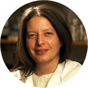 Kornelia Polyak - Professor