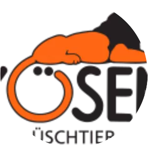 Kösener Spielzeug Manufaktur