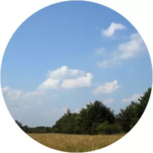 Koszęcin radio transmitter