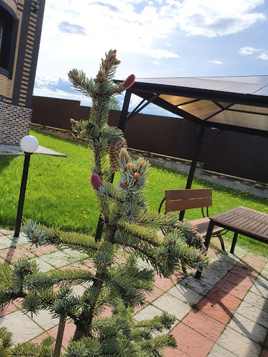 Kp Polyany - Cottage village in Russia