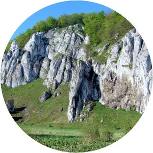 Kraków-Częstochowa Upland - 