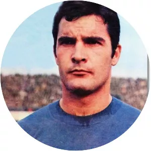 Krasnodar Rora - Croatian football player