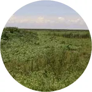 Kreamer Island - Island in Lake Okeechobee