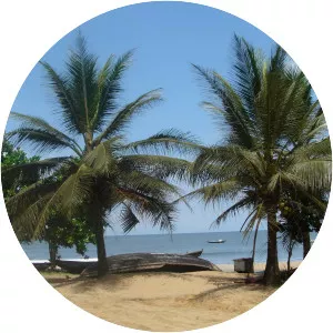 Kribi