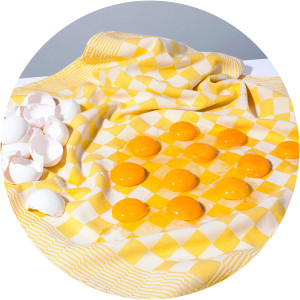 Krista van der Niet - Photographer