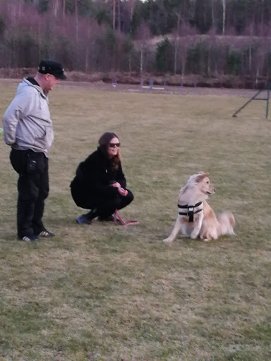 Kristinehamns BK - Association / Organization