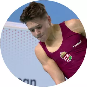 Krisztofer Mészáros