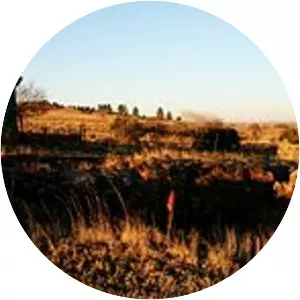 Kromdraai fossil site - 