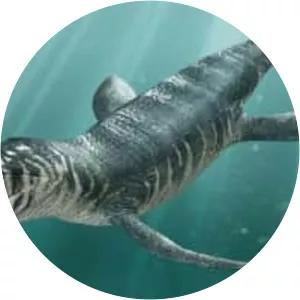 Kronosaurus - Reptile