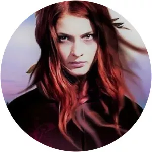 krupsky sotovarishchi ivan-kaif