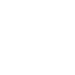 KS Vllaznia Shkodër