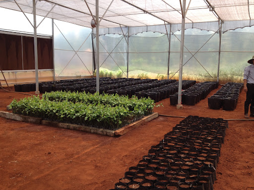 KSS Pepper Farm Hy Vong - Corporate office in Vietnam