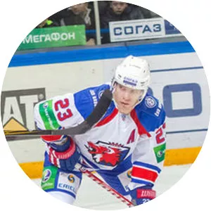 Ľuboš Bartečko - Ice hockey player