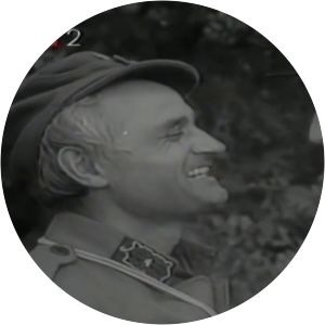 Kuda idu divlje svinje