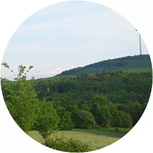 Küh-Kopf (Kühkopf)