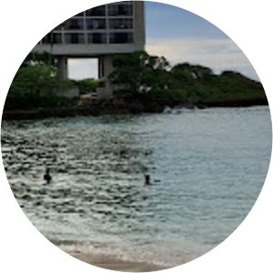 Kuilima Cove Snorkeling - Beach in Kawela Bay, Hawaii