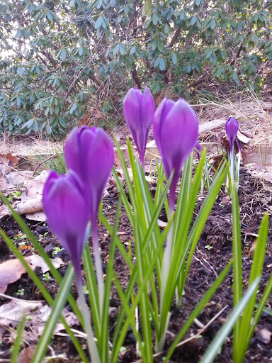 Kullavikskliniken - Dental clinic in Sweden