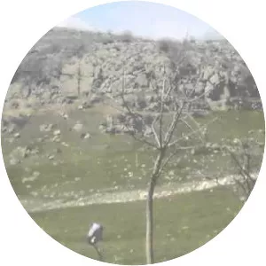 Kumalar Dağı - Türkiye'de bir dağ