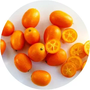 Kumquat