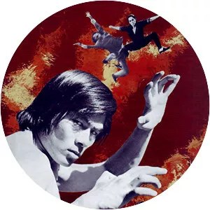 Kung Fu Punch of Death