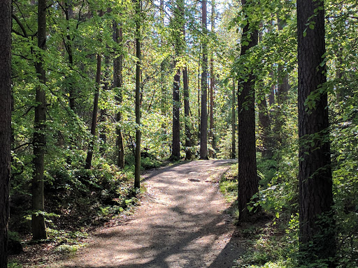 Kungsbackaskogen - Nature preserve in Kungsbacka, Sweden