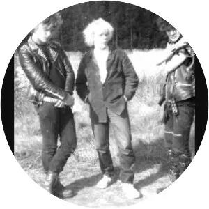 Kuolleet Kukat - Musical group