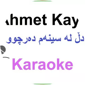 Kurdish Karaoke Music - Musical artist