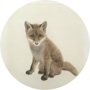 Kurt Meyer-Eberhardt