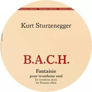 Kurt Sturzenegger Musician