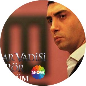 Kurtlar vadisi - Terör