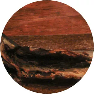 Kusaya - Dried fish