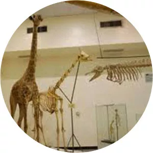 Kuwait Science and Natural History Museum