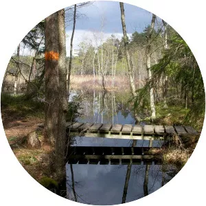 Kvarnsjön - Lake in Sweden