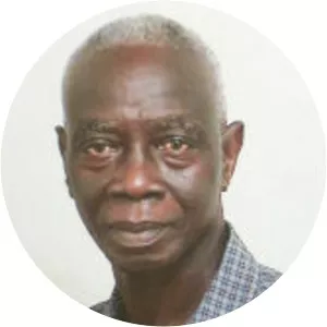Kwadwo Afari-Gyan - Ghanaian political scientist