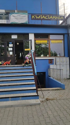 Kwiaciarnia Iwona Pietrzak