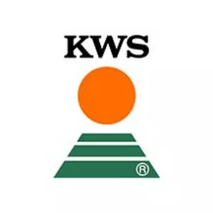KWS Saat (KWS SAAT AG)