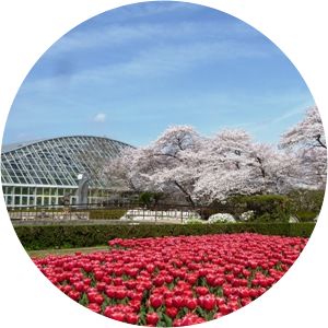 Kyoto Botanical Garden