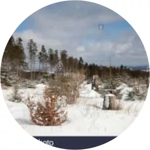 Kyrill - Religious leader