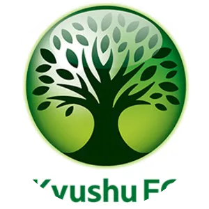 Kyushu Financial Group