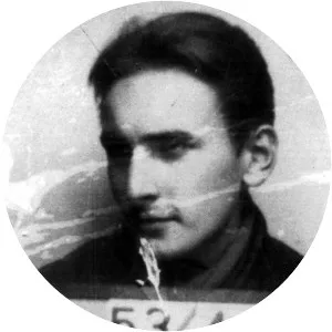 L. A. Kosinski - Author