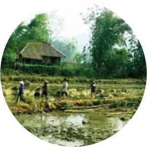 Lạc Sơn District (Lạc Sơn)