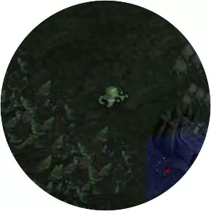 L. O. L. : Lack of Love