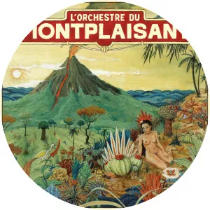 L'Orchestre du Montplaisant - Musical group