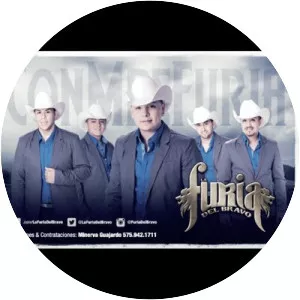 La Furia del Bravo - Musical artist